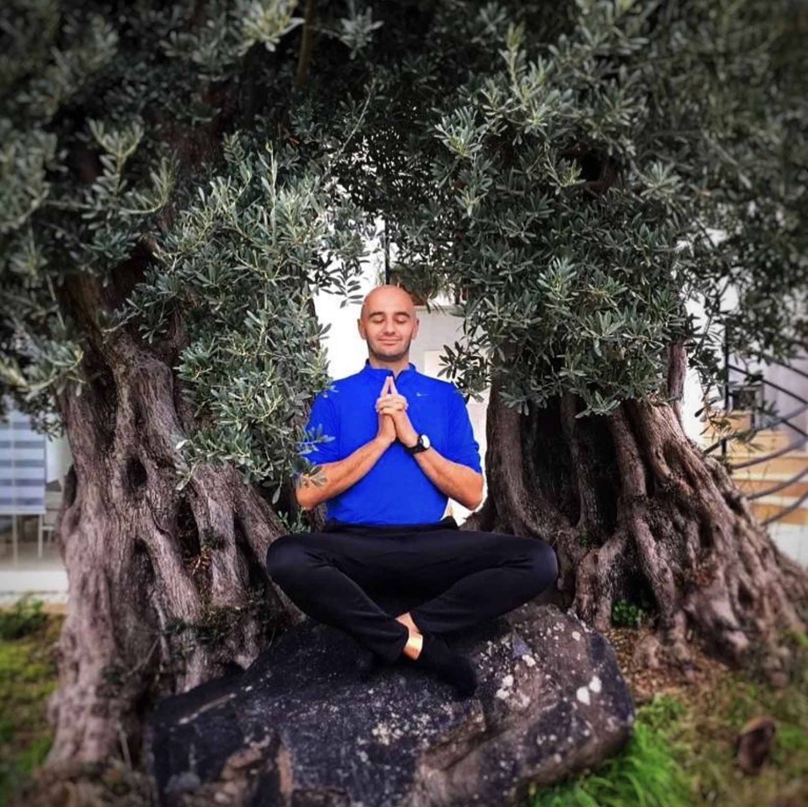 Buğra Karahan — Asırlık Zeytin Ağacı Altında Meditasyon